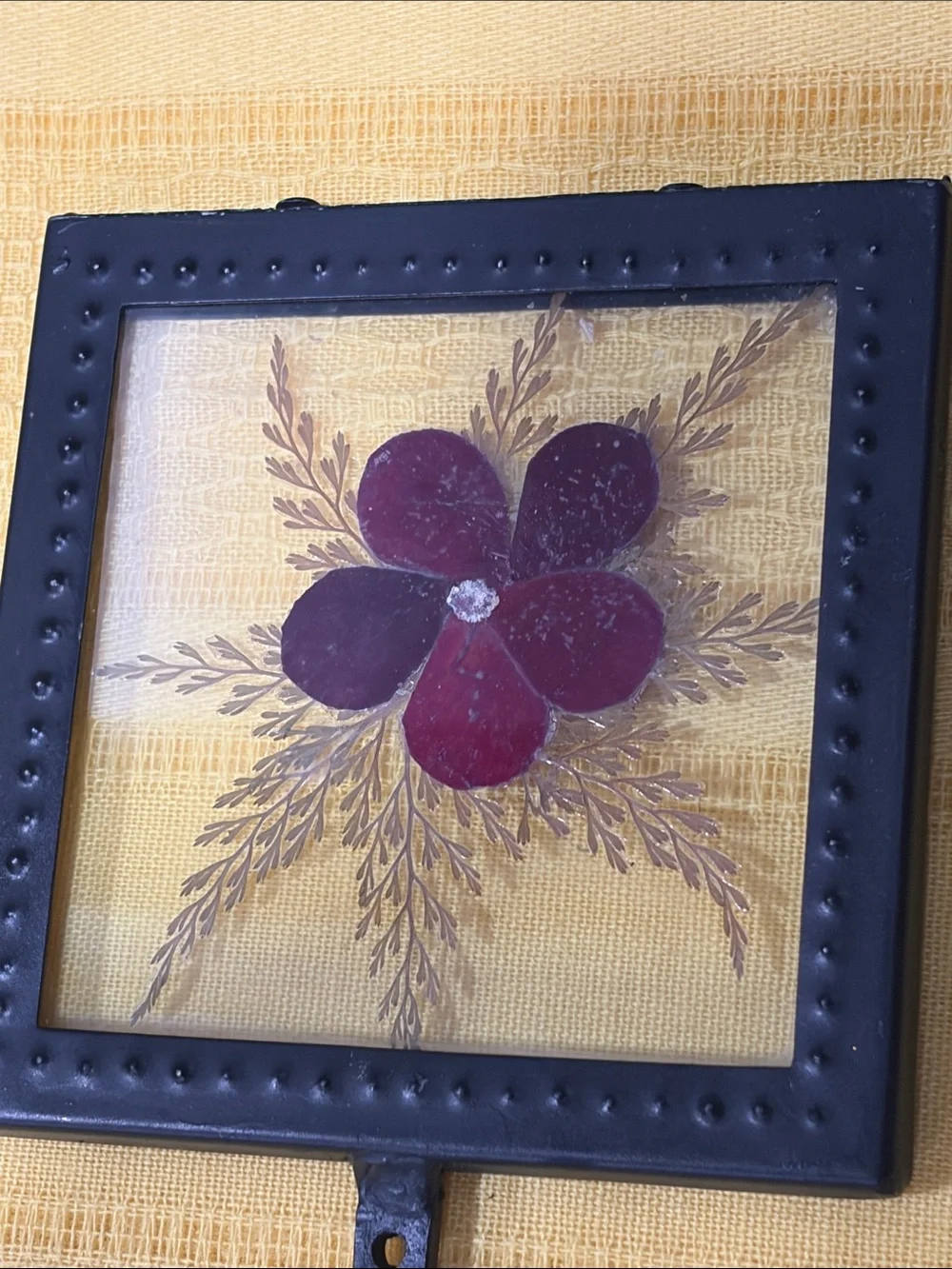Pier 1 Deadstock Black Wall Hook with Deep Red Floral Inset